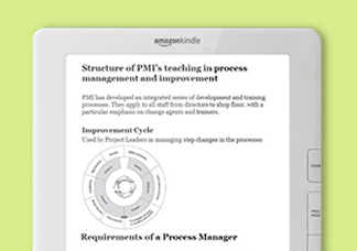 eBook on Project Leadership for Kindle 2