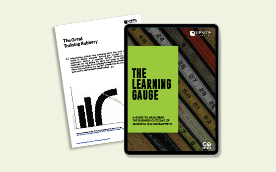 The Learning Gauge