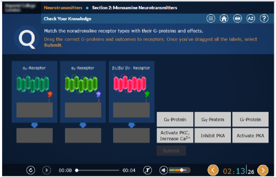 Two eLearning Modules for Year 4 of One of The Top 10 World-Leading Universities, MBBS/BSc Medicine Program
